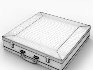 briefcase and money 3D Model