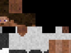 official minecraft character 3D Model