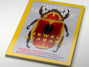 NATIONAL GEOGRAPHIC MAGAZINE 3D MODEL 3D Model