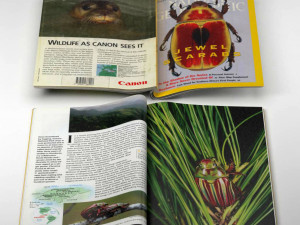 NATIONAL GEOGRAPHIC MAGAZINE 3D MODEL 3D Model