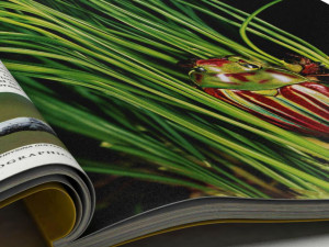 NATIONAL GEOGRAPHIC MAGAZINE 3D MODEL 3D Model