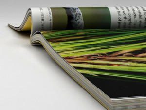 NATIONAL GEOGRAPHIC MAGAZINE 3D MODEL 3D Model