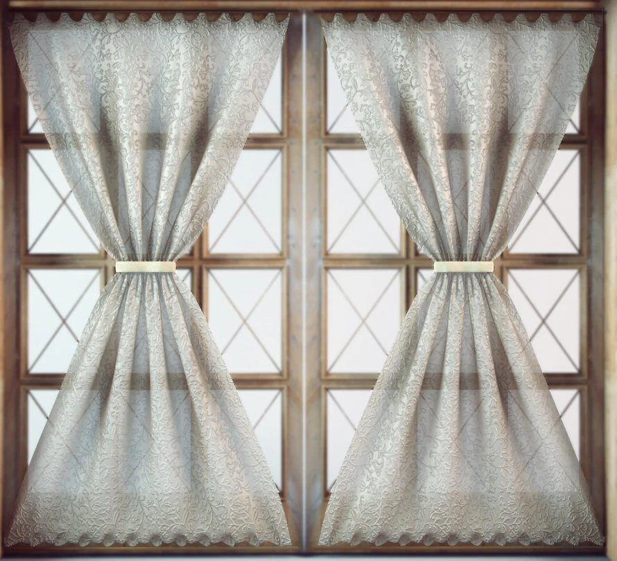 curtains 3D Model .c4d .max .obj .3ds .fbx .stl .blend 