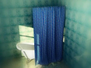 curtains bath single 3D Model