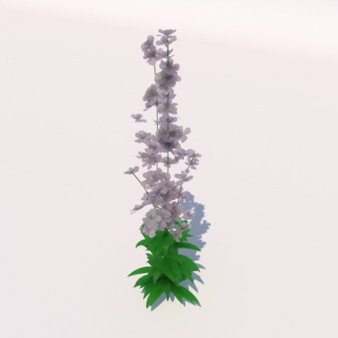 plant Modèle 3D .c4d .max .obj .3ds .fbx .stl .blend 