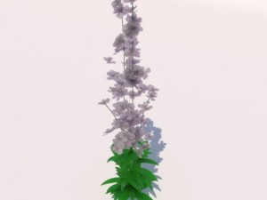plant Model 3D