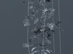 plant Modèle 3D