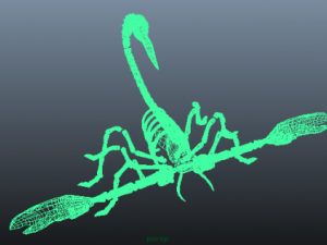 scorpion 3D Model