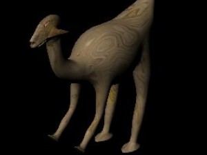 animroo 3D Model