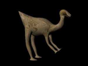 animroo 3D Model