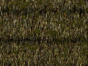 thatch pack CG Tekstury