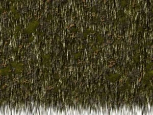 thatch pack CG Textures