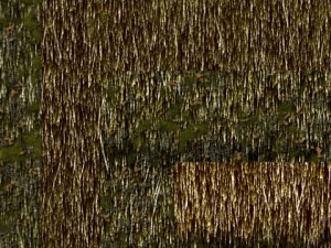 thatch pack CG Textures