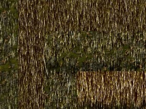 thatch pack CG Textures