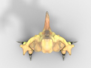 alien creature 3Dモデル