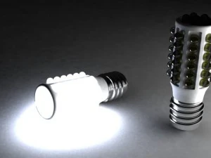 지도된 중간 전구 3D 모델