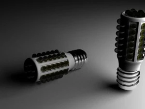 지도된 중간 전구 3D 모델