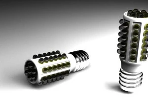 지도된 중간 전구 3D 모델