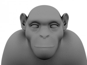 chimpanzee Modelo 3D
