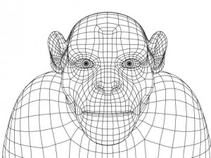 chimpanz&eacute; Modelo 3D