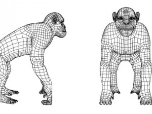 chimpanz&eacute; Modelo 3D