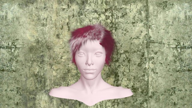hairstyl product 1 3D Model .c4d .max .obj .3ds .fbx .stl .blend 