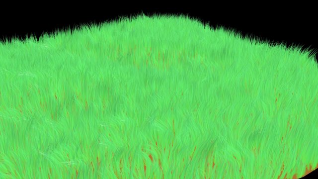 grass 3D Model .c4d .max .obj .3ds .fbx .stl .blend 