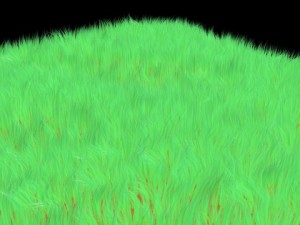 grass Model 3D