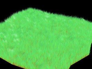 grass 3D Model