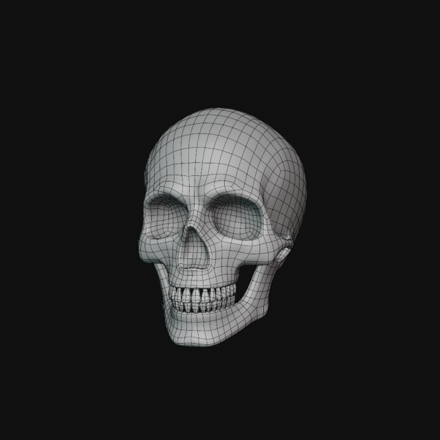 human skull Modèle 3D .c4d .max .obj .3ds .fbx .stl .blend 