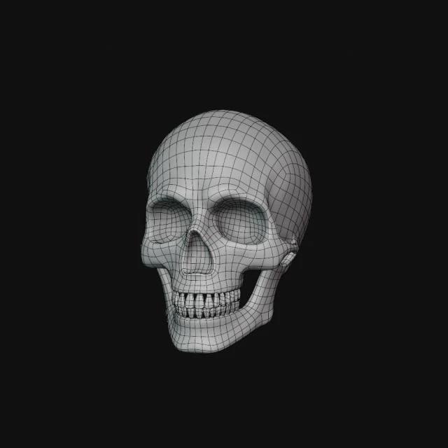 tengkorak manusia Model 3D .c4d .max .obj .3ds .fbx .stl .blend 