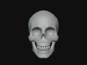 human skull Modèle 3D