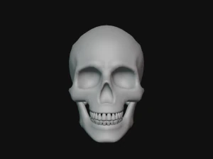 tengkorak manusia Model 3D