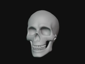 tengkorak manusia Model 3D