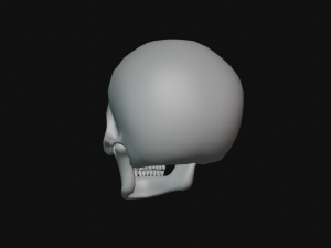 human skull Modèle 3D