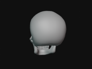 human skull Modèle 3D