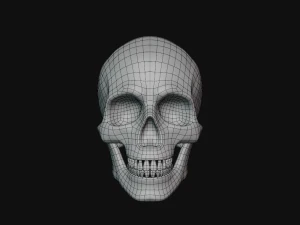 tengkorak manusia Model 3D