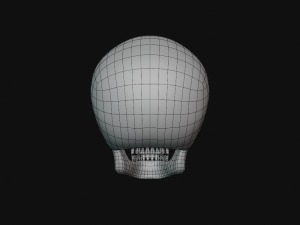 human skull Modèle 3D