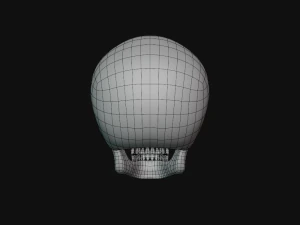 tengkorak manusia Model 3D
