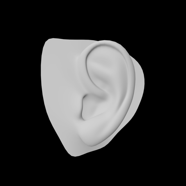 ear 3D Model .c4d .max .obj .3ds .fbx .stl .blend 