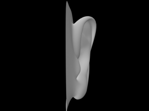ear 3D Model