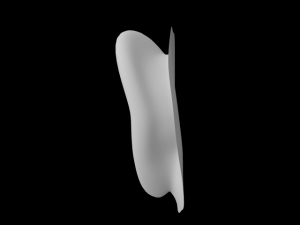 ear 3D Model