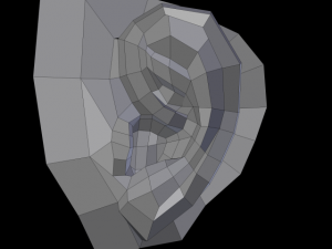 ear 3D Model