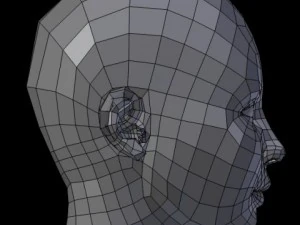 female head 3D Model