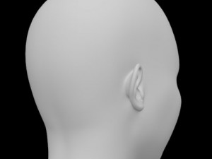 female head 3D Model