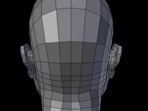female head 3D Model