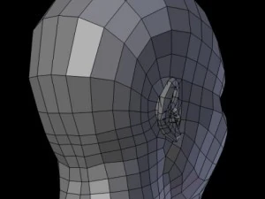 female head 3D Model