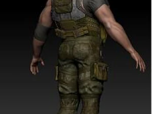 anatomy version 3D Model
