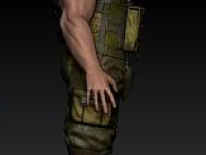 anatomy version 3D 模型