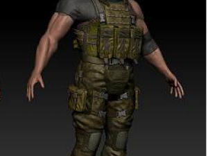 anatomy version 3D 模型